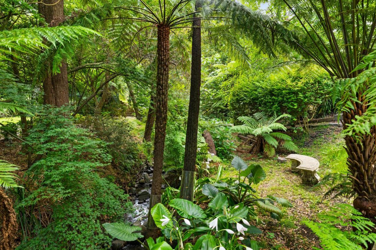 Paddys Creek Retreat Villa Upwey Exterior foto