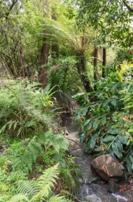 Paddys Creek Retreat Villa Upwey Exterior foto