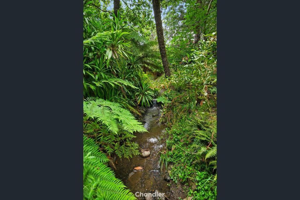 Paddys Creek Retreat Villa Upwey Exterior foto